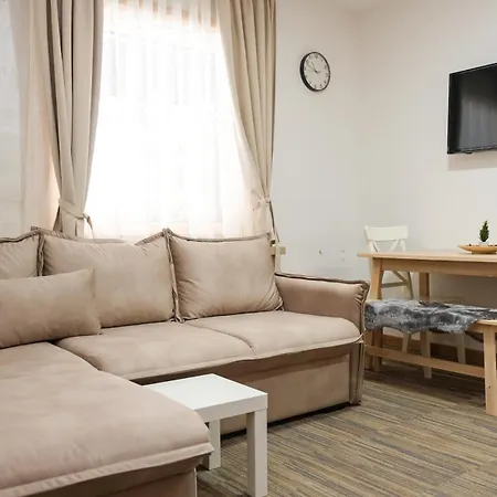 Apartment Pavle *