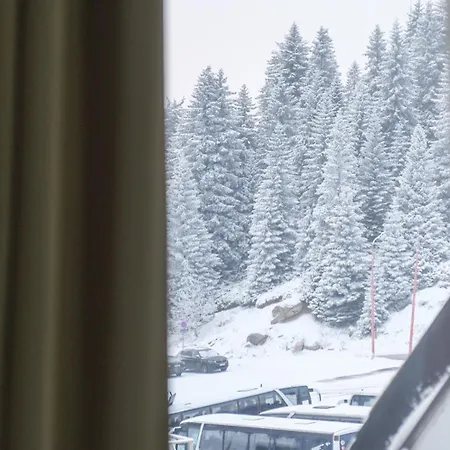 Pavle Lejlighed Kopaonik