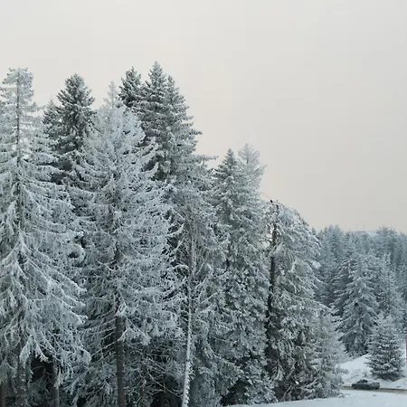 Lejlighed Pavle Kopaonik