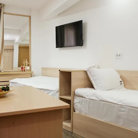 Lejlighed Pavle Kopaonik